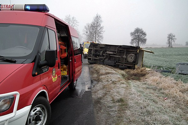 Jeden karp ofiarą kolizji, pozostałym pomogli strażacy.