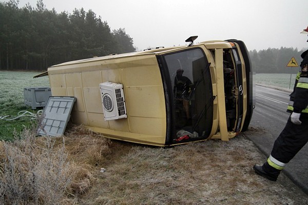 Jeden karp ofiarą kolizji, pozostałym pomogli strażacy.