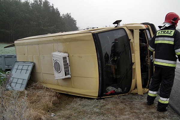 Jeden karp ofiarą kolizji, pozostałym pomogli strażacy.