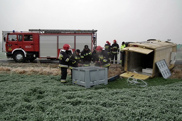 Jeden karp ofiarą kolizji, pozostałym pomogli strażacy.