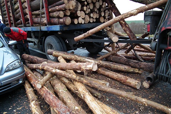 Spadający z ciężarówki drewniany bal wpadł do osobowej astry.