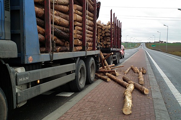 Spadający z ciężarówki drewniany bal wpadł do osobowej astry.