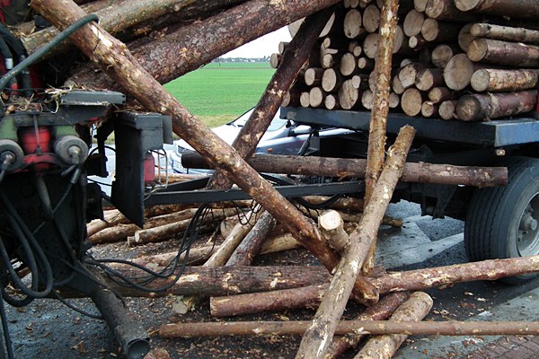 Spadający z ciężarówki drewniany bal wpadł do osobowej astry.