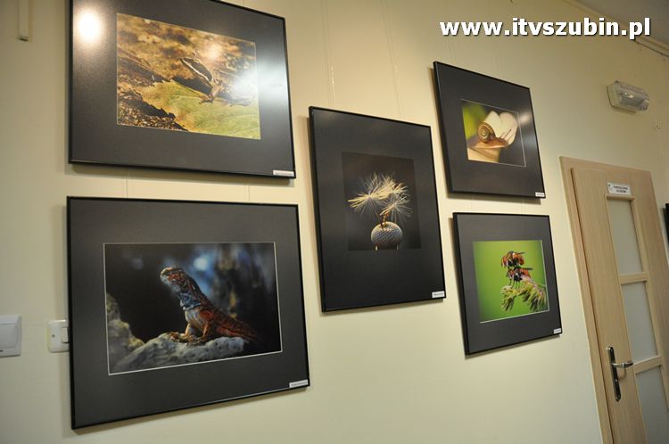 Małe jest PIĘKNE ? wernisaż grupy Flesz