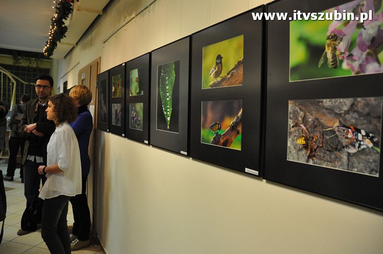 Małe jest PIĘKNE ? wernisaż grupy Flesz