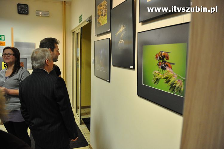 Małe jest PIĘKNE ? wernisaż grupy Flesz