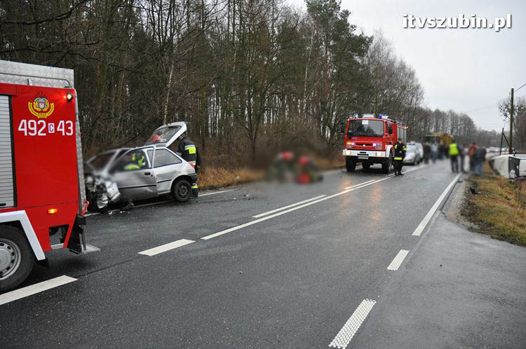Wypadek dwóch samochodów osobowych i dzika - trzy osoby przewieziono do szpitala