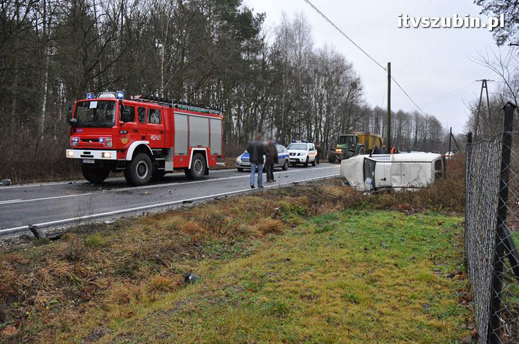 Wypadek dwóch samochodów osobowych i dzika - trzy osoby przewieziono do szpitala