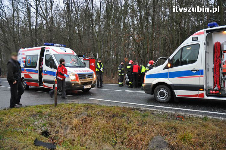 Wypadek dwóch samochodów osobowych i dzika - trzy osoby przewieziono do szpitala