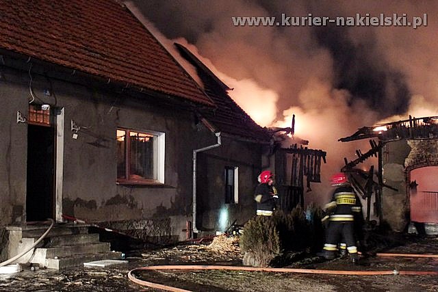 Spłonął budynek inwentarski wraz z trzodą chlewną