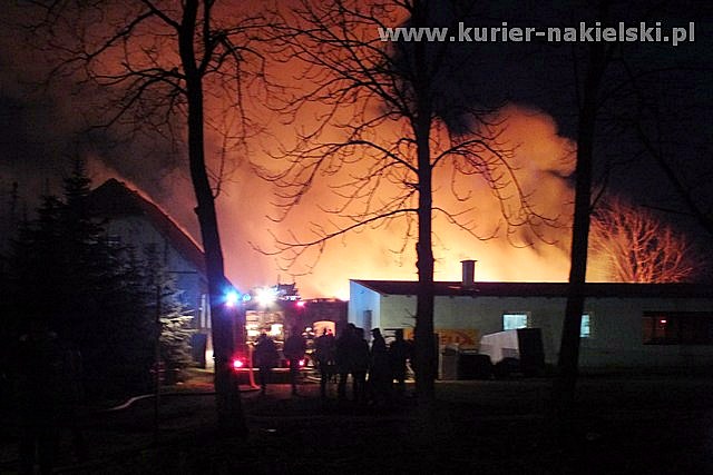 Spłonął budynek inwentarski wraz z trzodą chlewną