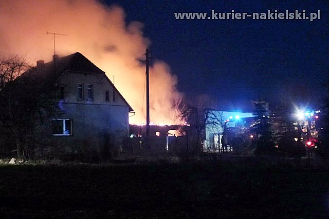 Spłonął budynek inwentarski wraz z trzodą chlewną