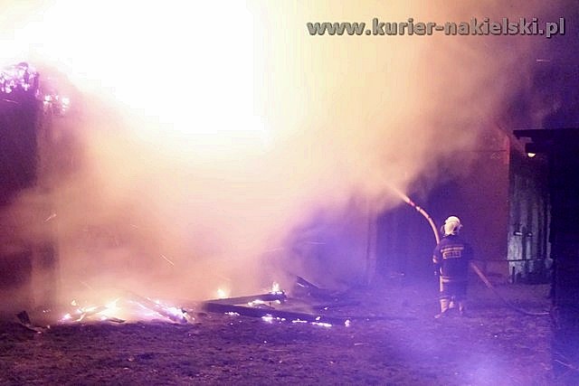 Spłonął budynek inwentarski wraz z trzodą chlewną