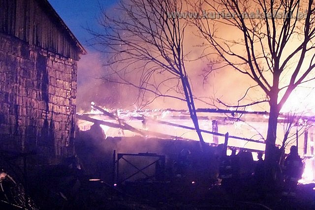 Spłonął budynek inwentarski wraz z trzodą chlewną