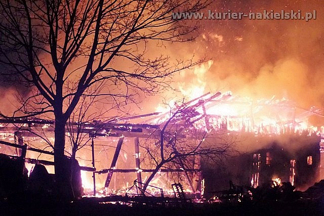 Spłonął budynek inwentarski wraz z trzodą chlewną
