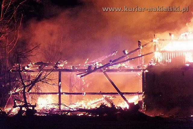 Spłonął budynek inwentarski wraz z trzodą chlewną