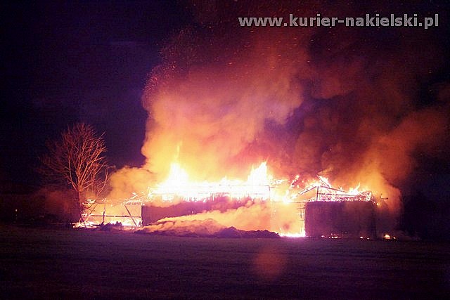 Spłonął budynek inwentarski wraz z trzodą chlewną