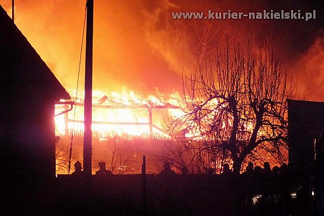 Spłonął budynek inwentarski wraz z trzodą chlewną