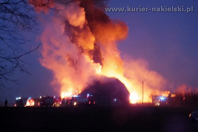 Spłonął budynek inwentarski wraz z trzodą chlewną