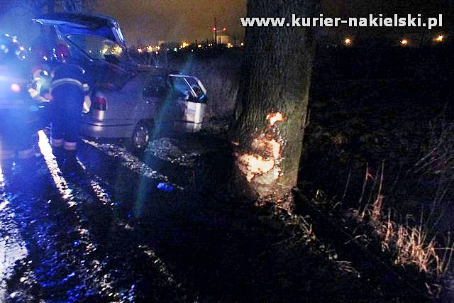 Seat Toledo uderzył w drzewo