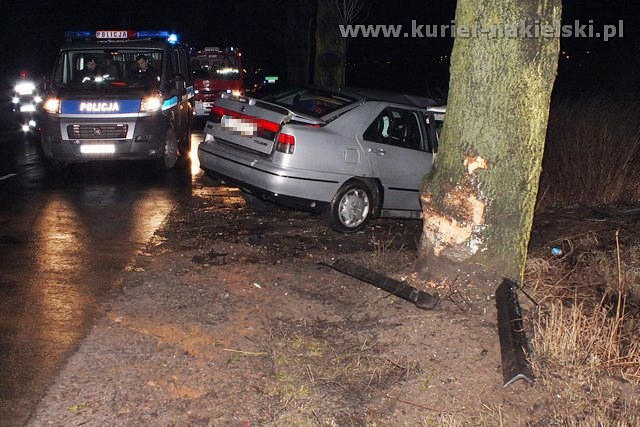 Seat Toledo uderzył w drzewo