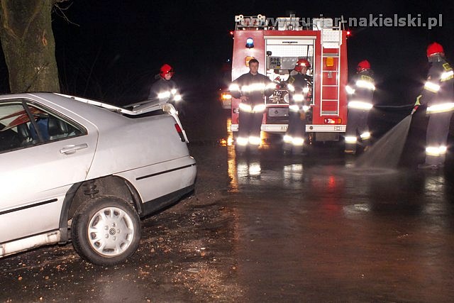 Seat Toledo uderzył w drzewo