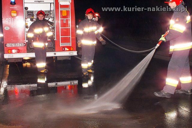 Seat Toledo uderzył w drzewo