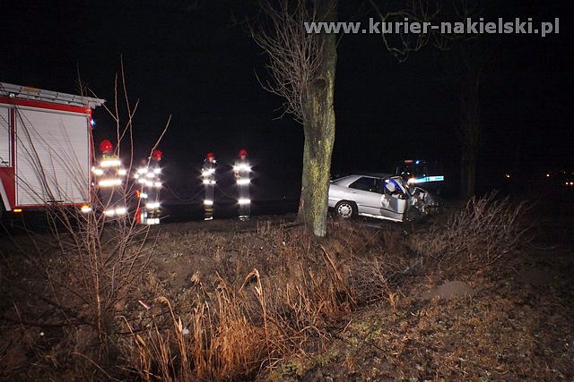 Seat Toledo uderzył w drzewo