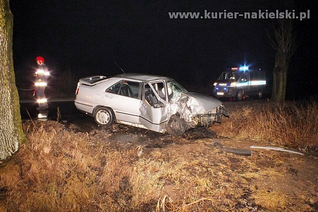 Seat Toledo uderzył w drzewo