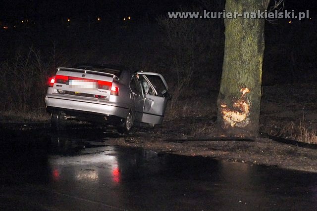 Seat Toledo uderzył w drzewo
