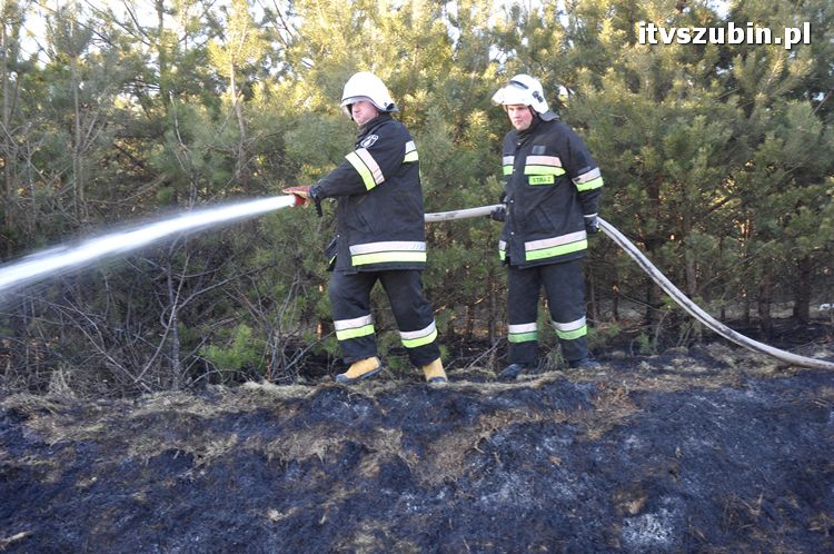 Pożar poszycia leśnego i nasypu kolejowego