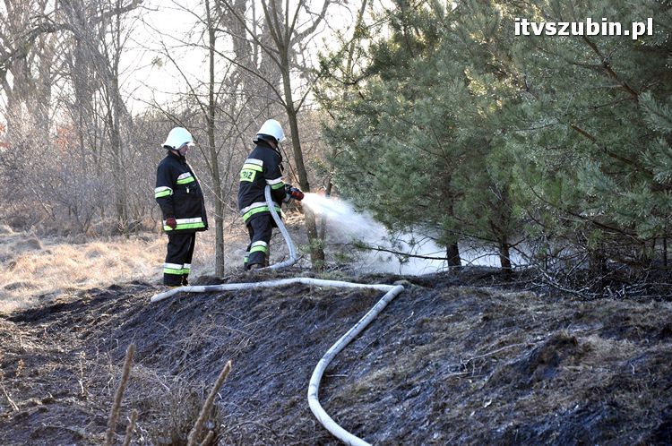 Pożar poszycia leśnego i nasypu kolejowego