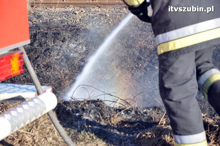 Pożar poszycia leśnego i nasypu kolejowego