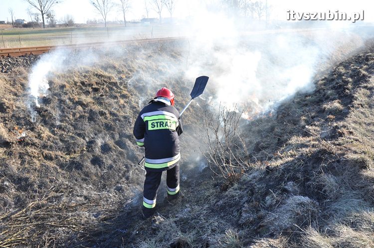 Pożar poszycia leśnego i nasypu kolejowego