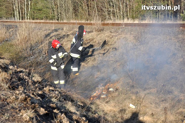 Pożar poszycia leśnego i nasypu kolejowego