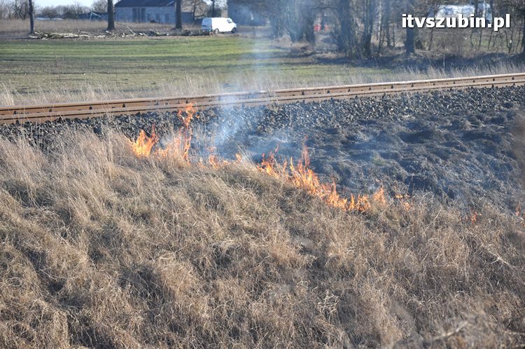 Pożar poszycia leśnego i nasypu kolejowego