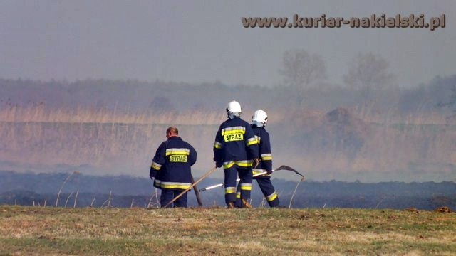 Strażacy mieli pełne ręce pracy