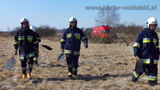 Strażacy mieli pełne ręce pracy
