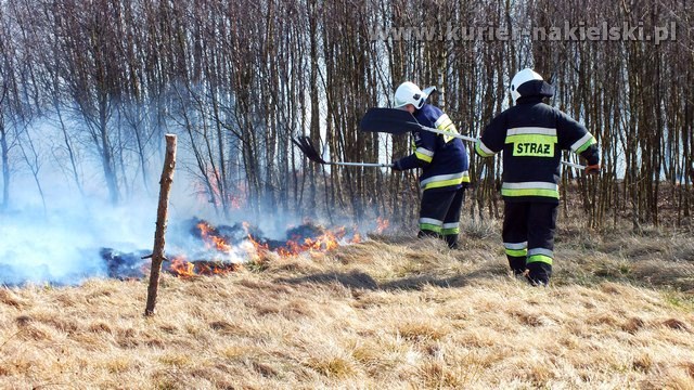 Strażacy mieli pełne ręce pracy