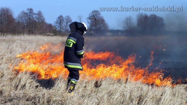 Strażacy mieli pełne ręce pracy
