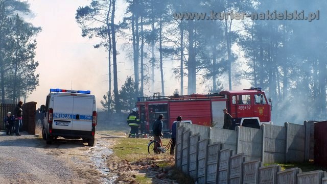 Strażacy mieli pełne ręce pracy