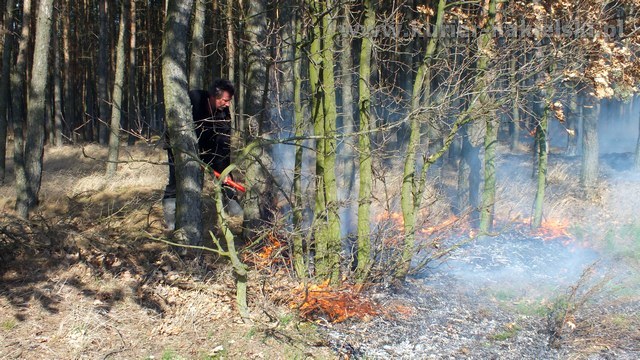 Strażacy mieli pełne ręce pracy