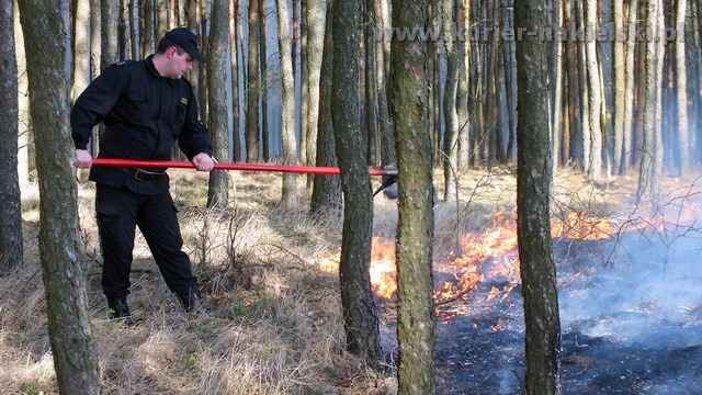 Strażacy mieli pełne ręce pracy