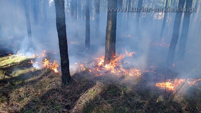 Strażacy mieli pełne ręce pracy