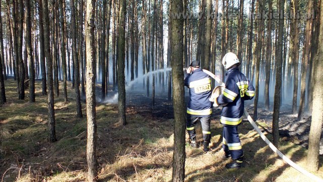 Strażacy mieli pełne ręce pracy