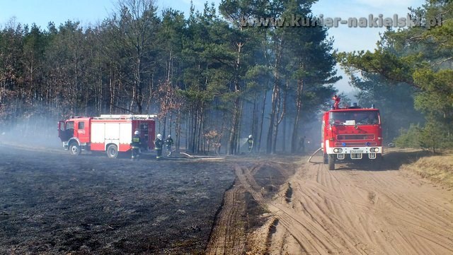 Strażacy mieli pełne ręce pracy
