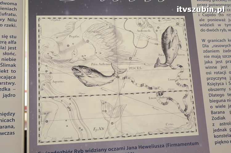 Dwa wernisaże jednego dnia w szubińskim muzeum