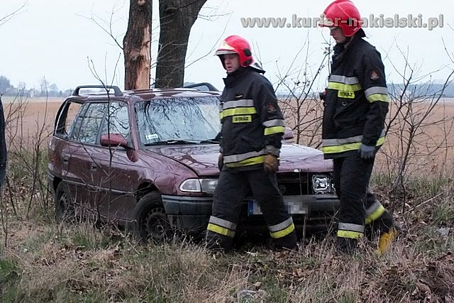 Opel Astra zatrzymał się na drzewie
