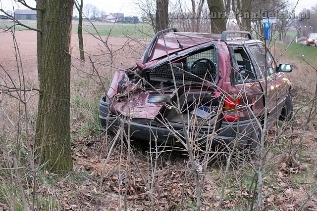 Opel Astra zatrzymał się na drzewie