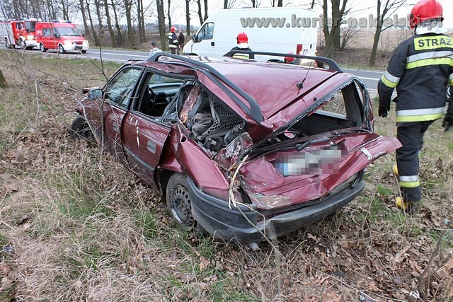 Opel Astra zatrzymał się na drzewie